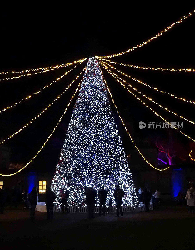 大型户外圣诞树上挂着精灵灯/装饰品，人们在观看